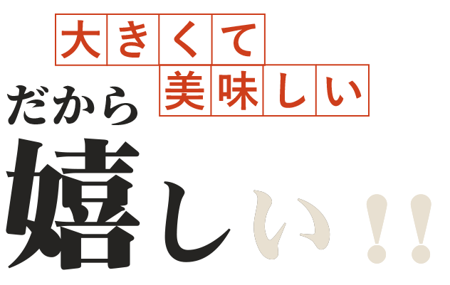 だから嬉しい