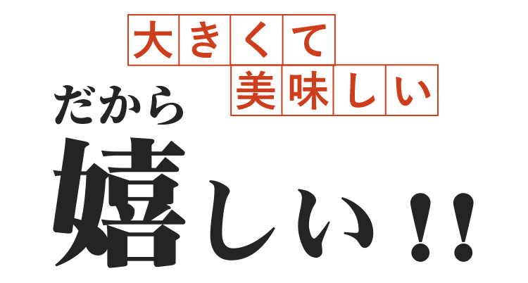 だから嬉しい